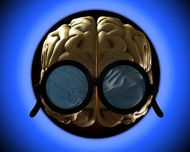 聪明大脑概念头脑保健丘脑脑力专注卫生生物学光学下丘脑图片