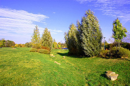 夏天在公园里 有绿树和青草课程木头农村森林花园蓝色树木风景晴天天空背景图片