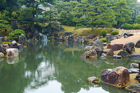 园圃的园圃院子树木橙子盆栽灌木丛灌木花园园艺叶子植物图片