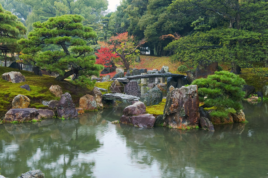 园圃的园圃植物灌木丛池塘季节橙子盆栽灌木风景花园院子图片