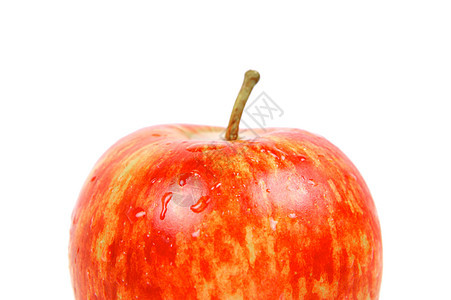 红苹果食物白色红色图片