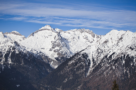 冬季风景森林高山爬坡顶峰松树全景晴天山脉蓝色天空背景图片