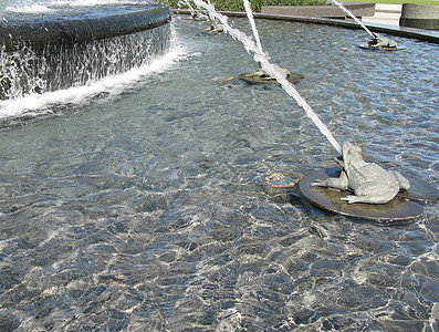 公园中的泉水喷泉灰色瀑布金属阴影动物青蛙喷射雕塑两栖百合图片