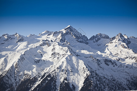 冬季风景场景森林顶峰全景冻结高山晴天蓝色天空山脉图片