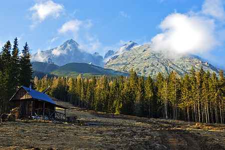 高塔特拉首脑木头爬坡岩石棚户区树木丘陵石头山脉森林图片