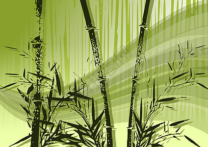 竹条说明木头植物树叶热带异国森林植物群插图绿色叶子图片