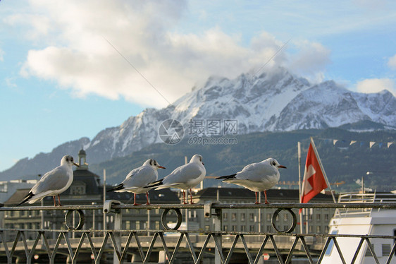 瑞士卢塞恩建筑学艺术旅行城市文化街道青铜天空假期旅游图片