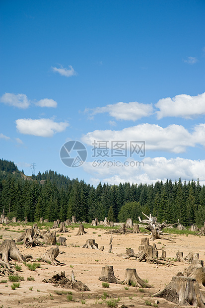 美国华盛顿州斯诺夸尔米山口附近明确砍伐的森林面积树桩收成图片