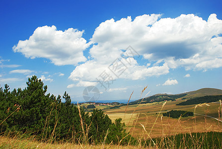 农村景观稻草丘陵蓝色村庄青色传播花梗植物山脉树木图片