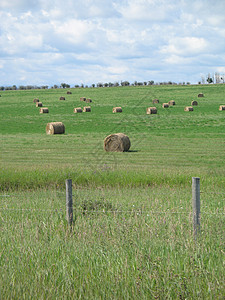 农业绿田国家场地稻草干草绿色牧场栅栏草地生长天空图片