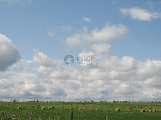 农业绿田草地稻草农场场地生长蓝色种植园天空牧场国家图片