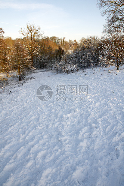 冬天季节曲目冻结雪景风景场景小路树木国家降雪图片