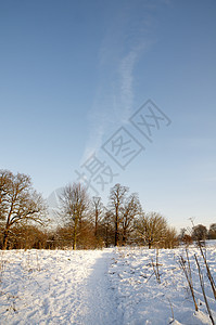 冬天小路风景树木季节公园降雪曲目冻结场景国家图片