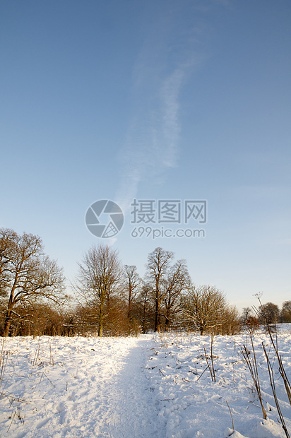 冬天小路风景树木季节公园降雪曲目冻结场景国家图片