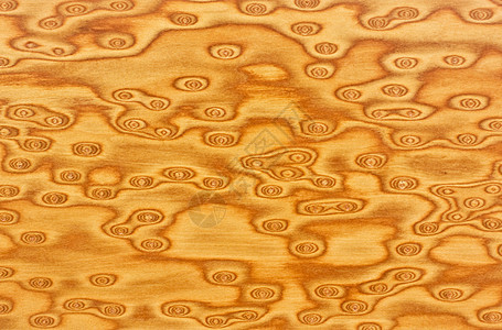 木纹理背景背景自然纹抛光家具木工红木材料木地板宏观装饰松树图片