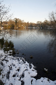 冬季湖雪景天空反思季节树木冻结场地国家池塘公园图片