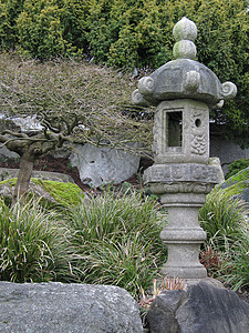 花园里的天灯树叶绿色植物公园岩石文化图片