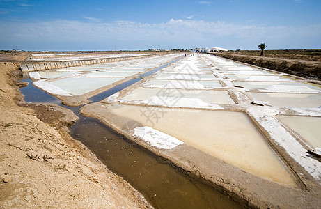 盐碱沼泽收成环境农业矿业沉积物开发美食海洋结晶调味品图片