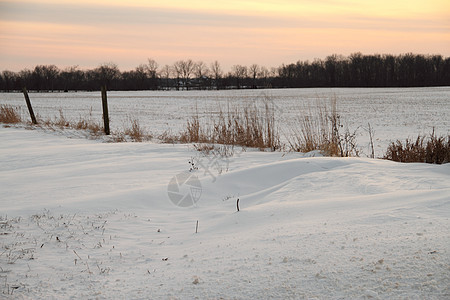 夜晚雪雪场白色日落地平线季节阳光树木乡村风景冻结栅栏图片