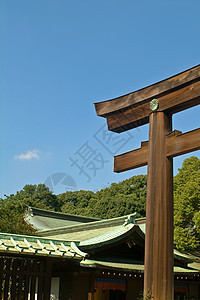 MeijiJingo神社 日本东京寺庙宗教神社图片