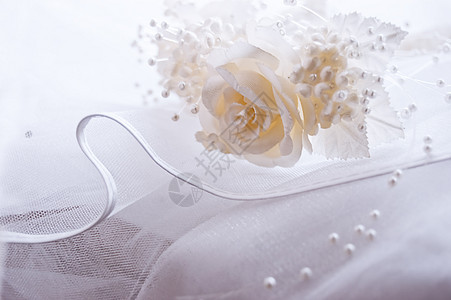 婚礼纹理丝绸柔软度女性珍珠织物黄色图片