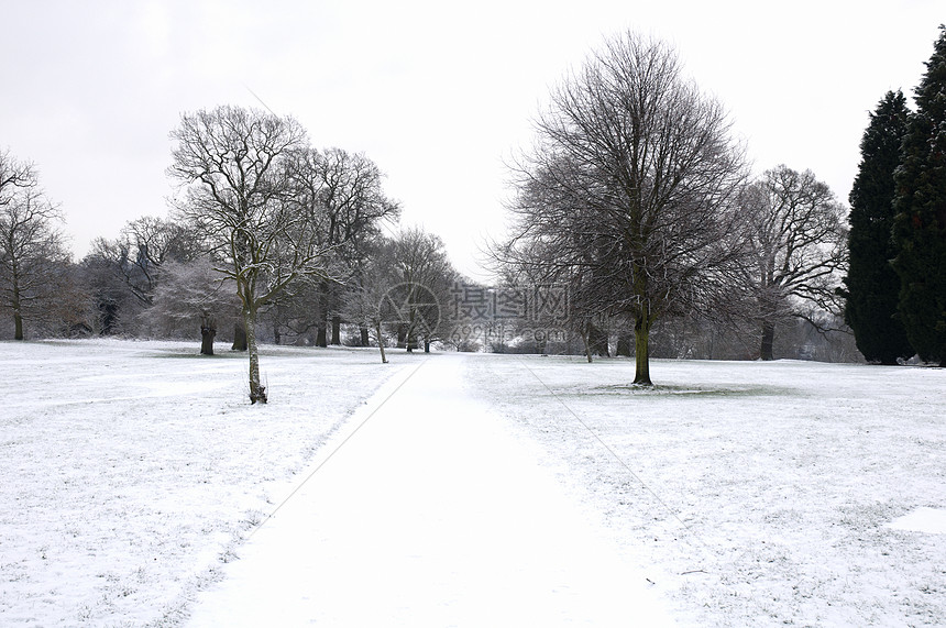 冬季公园风景冻结场地小路曲目场景树木雪景季节天气图片
