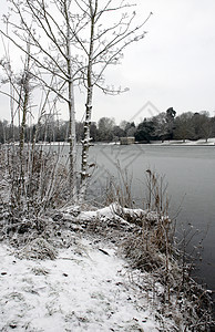 冬季湖风景国家池塘公园冻结降雪反思季节雪景树木图片
