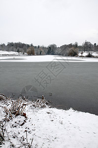 冬季湖冻结场景公园降雪树木雪景反思国家池塘场地图片