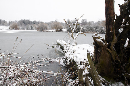 冬季湖场地公园场景池塘天气树木季节雪景降雪天空图片