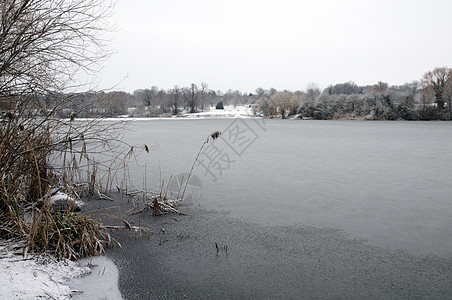 冬季湖冻结天空天气树木降雪雪景国家池塘场景反思图片