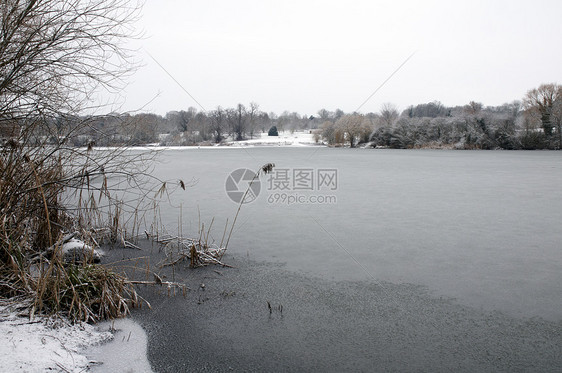 冬季湖冻结天空天气树木降雪雪景国家池塘场景反思图片