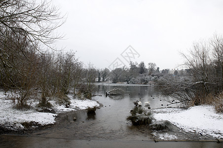冬季湖场地降雪风景池塘天空场景季节冻结反思公园图片