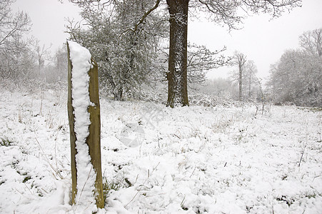 白雪柱木柱公园栅栏树木图片