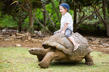 骑着巨海龟童年旅行幸福晴天爬虫动物活动孩子骑术土地图片