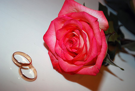 结婚戒指新娘玫瑰已婚金子庆典婚礼树叶水平浪漫婚姻背景图片