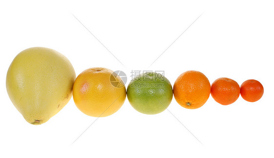 水果橙子柚子橘子热带食物图片