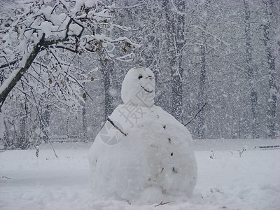 雪人天气学位公园树木城市冻结白色背景图片