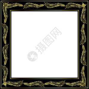 金金框架金子照片艺术羽毛摄影正方形风格装饰图片