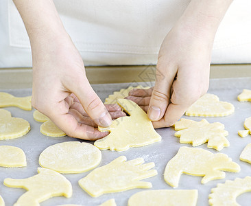 用 cookie 烘烤工作表小吃厨师床单手工手指款待甜点面包糕点女士图片