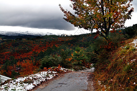 冬季风景栅栏蓝色岩石顶峰滑雪山脉粉末季节天空旅游图片