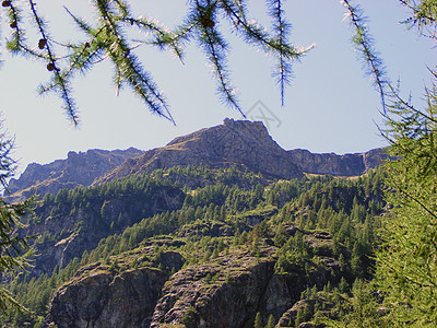 山区地貌浆果红色蓝色旅行木头褶皱氧气天空绿色植被图片