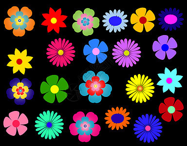 彩色花朵植物图片