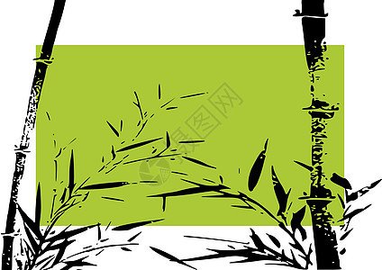 竹条说明插图生长植物群树叶叶子异国情调木头绿色植物图片