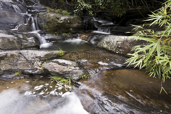 泉水叶子风景热带荒野丛林石头阳光环境墙纸树叶图片