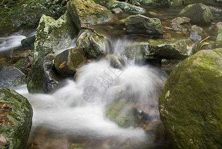 泉水环境阳光旅行风景玻璃石头树叶森林荒野热带图片