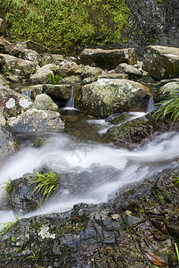 泉水流动玻璃叶子森林岩石阳光力量风景瀑布石头图片