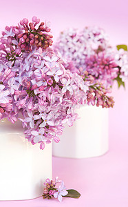 丁烯脂花瓶紫色插花淡紫色粉色图片
