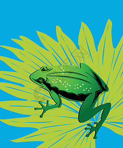 绿青蛙沼泽塑像回扣动物精力栖息地程式化蟾蜍宠物乐趣图片