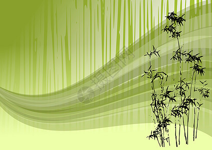 竹条说明木头森林绿色生长叶子异国植物群情调树叶热带图片