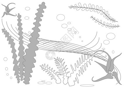 抽象水下背景摘要叶子海藻空气水族馆植物群植物灰色螺旋蒸汽藻类图片